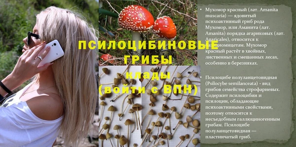 гидра Мегион