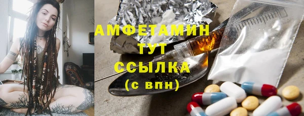 прущие грибы Михайлов